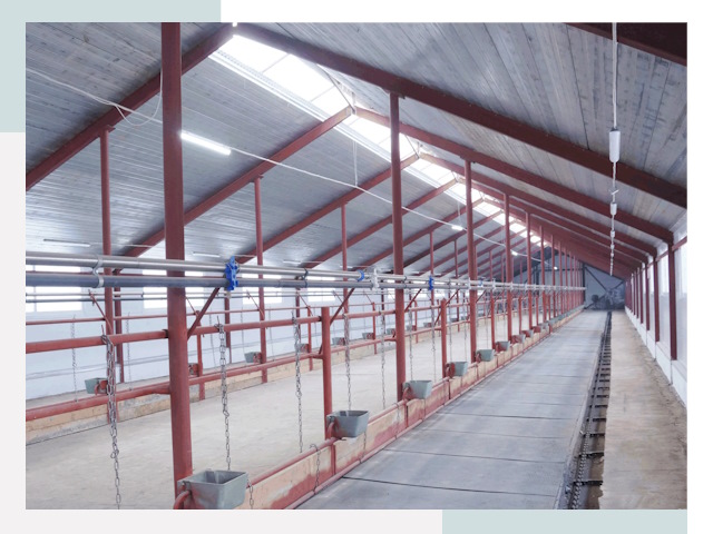 Строительство коровников в Карасуке от 609 руб.